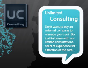 S.E.O. Consultations