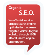 natural search optimization natural seo